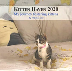 Kitty Haven 2020