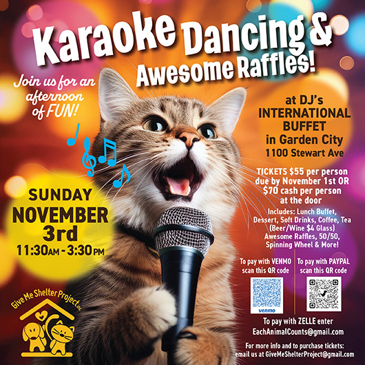 Karaoke Fundraiser