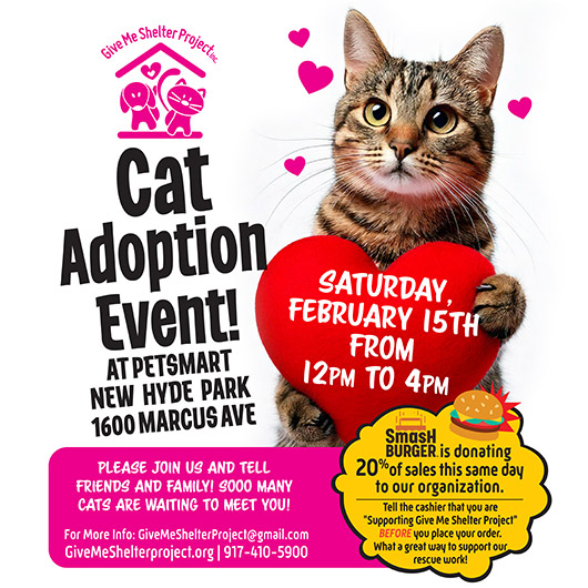 Adoption Event February 2025