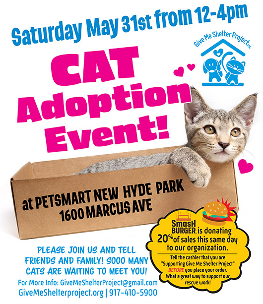 Adoption May 2025