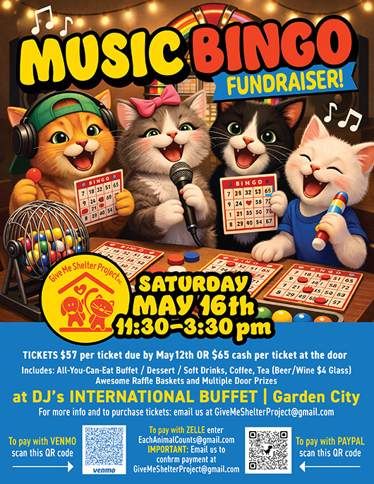 May MUSIC BINGO Fundraiser