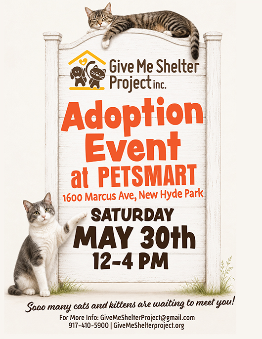 May Adoption