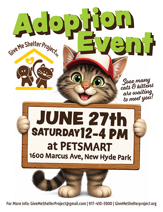 June Adoption