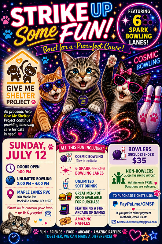 Bowling Fundraiser