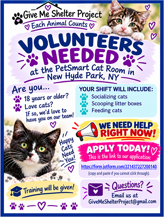 Volunteers